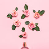 可愛い　携帯用ハンドジェル