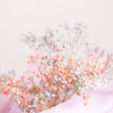 YOUNESS（ユーネス）いい匂い